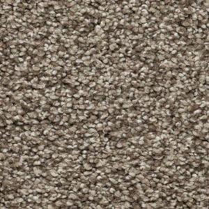 Carpet Bring It On Collection