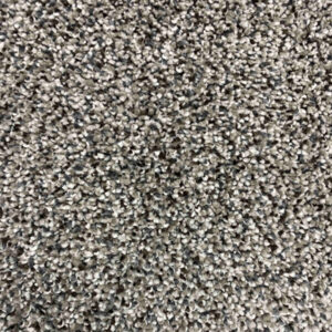 Carpet Celebrity Collection