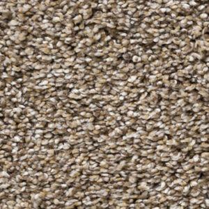 Carpet Fantastic Collection