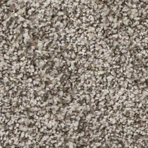 Carpet Refined Collection