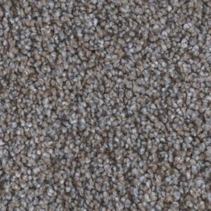 Timeless Designs Carpet Monumental Collection Willowbrook